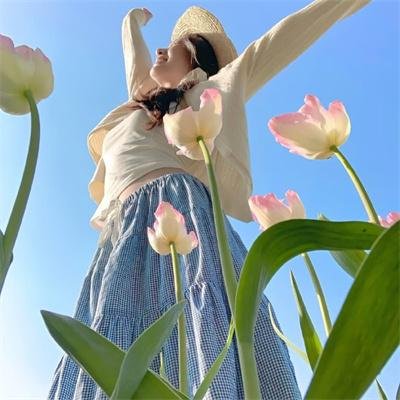 青天白日满地红